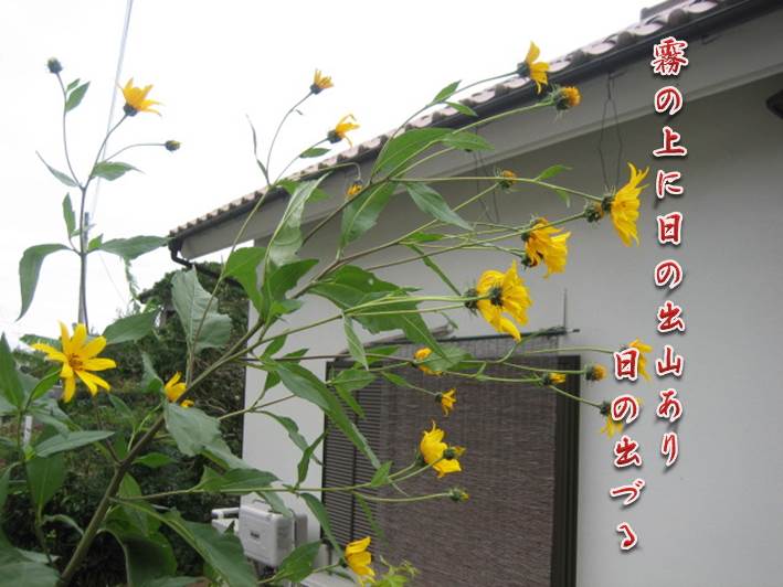 2013.10.16}1.jpg